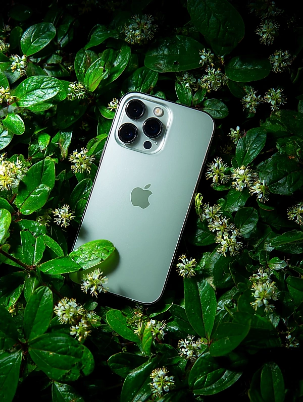 Смартфон на зелёных листьях